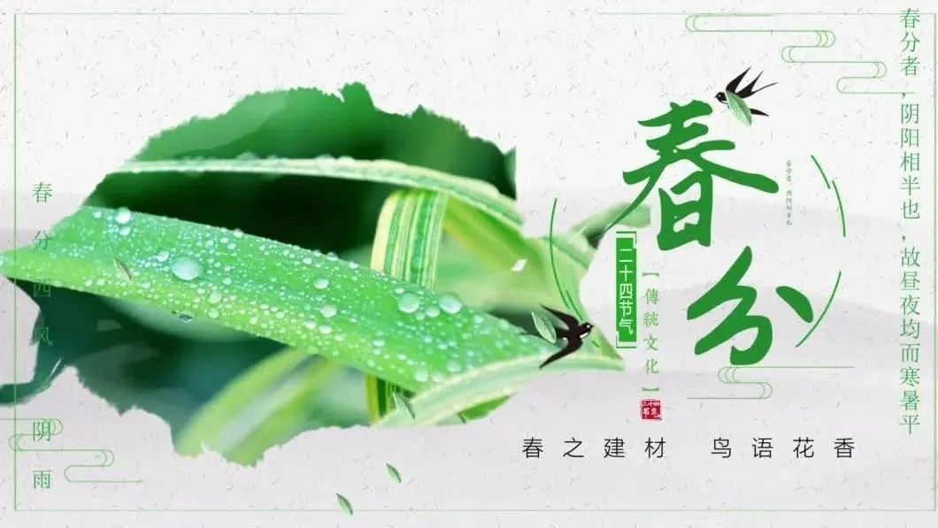 今日春分 | 春之U钱包，，，鸟语花香
